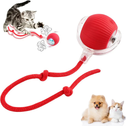 Whisker Wonderland Pet Ball